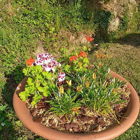 بيت للعطل A Casettuccia Santu Petru *