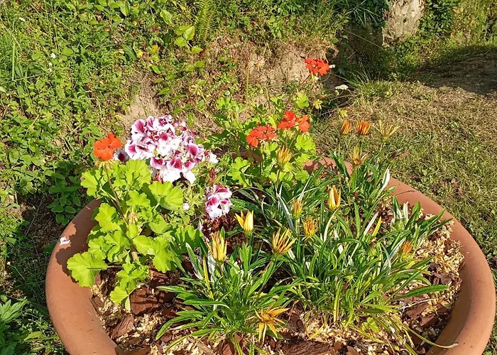 Holiday home A Casettuccia Santu Petru *